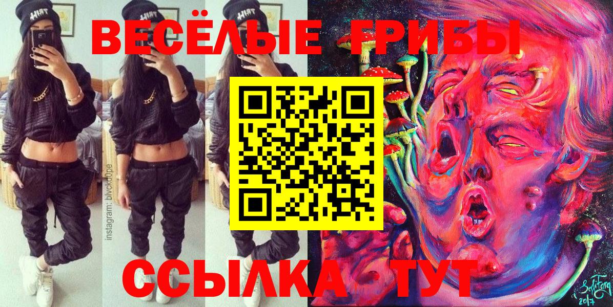 даркнет сайт  Вход с VPN  Петропавловск-Камчатский  Псилоцибиновые грибы мицелий  Галлюциногенные грибы мухоморы 